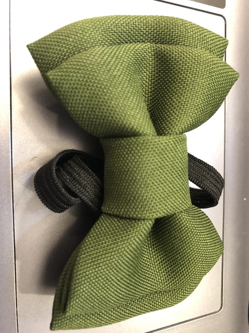 Olive Green Bowtie Kids ( FOR SALE )