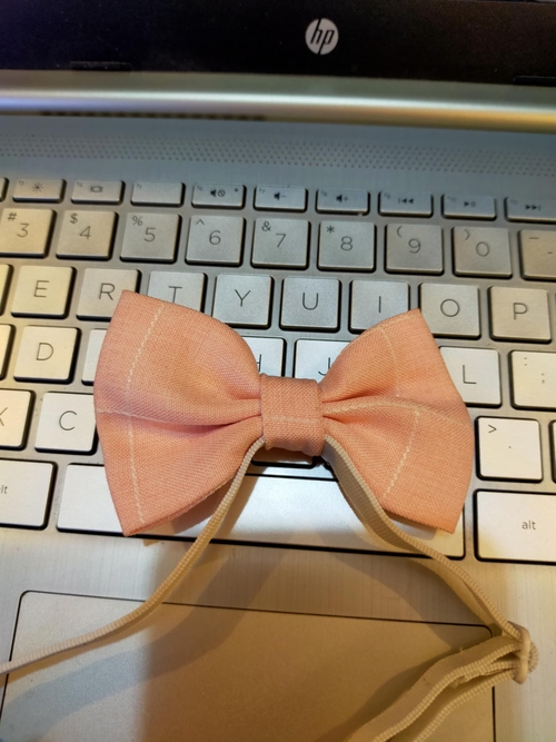 Pink Plaid Bowtie (Pair sa suit for kids)