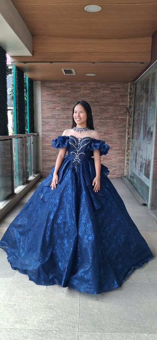 Navy Blue Off Shoulder with Ruffled Short Sleeve Choker Ball Gown