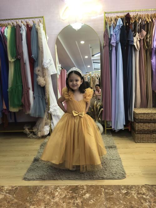 Nude Gold Flower Girl Tulle Kids Dress