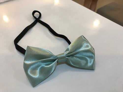 Sage Green Bowtie FOR KIDS (FOR RENT)