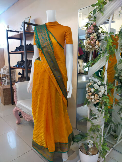 Indian Saree Costume