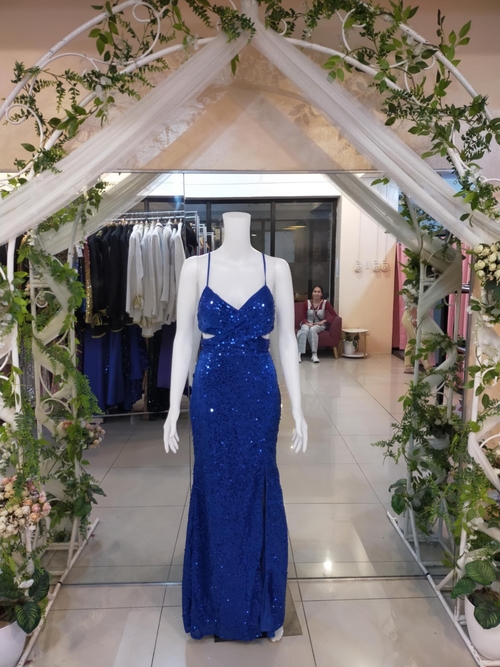 Royal Blue Sexy Backless Sequin Dress