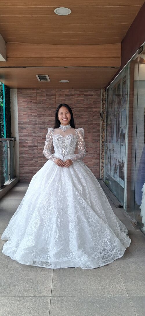 Elegant Long Sleeve Lace Bodice with Choker Neckline Wedding Gown