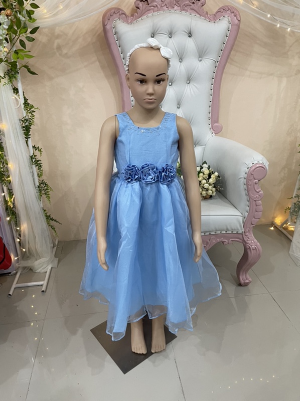 Powder Blue Flower Girl Dress Kids