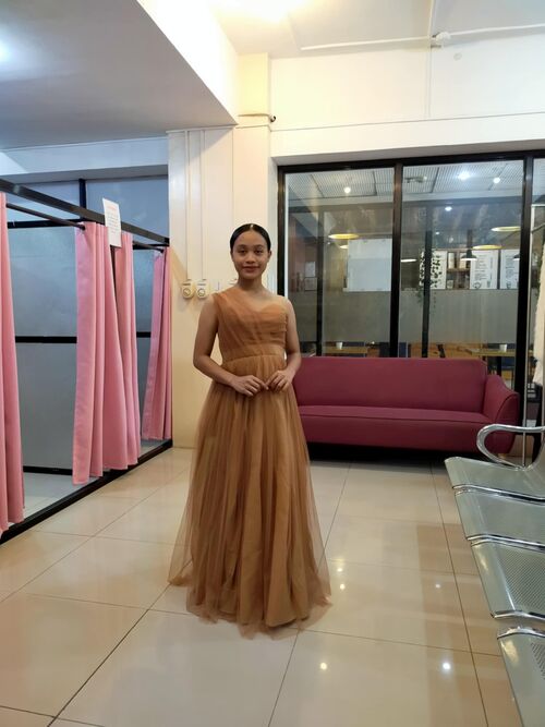 Brown Tulle Bridesmaid Gown (#7)
