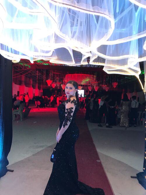 Black Glittery Mesh Longsleeves Long Gown 