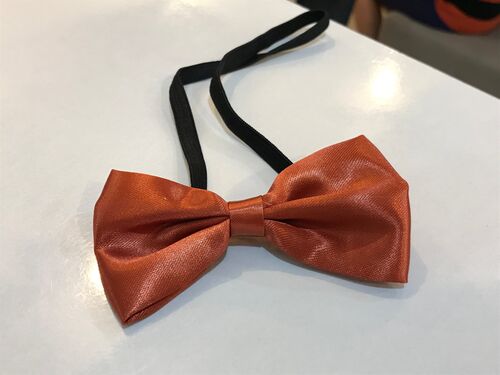 Rust Orange Bowtie FOR KIDS (FOR RENT)