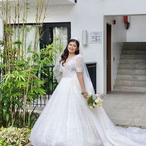 Plus Size Puff Sleeve Back Bow Wedding Gown