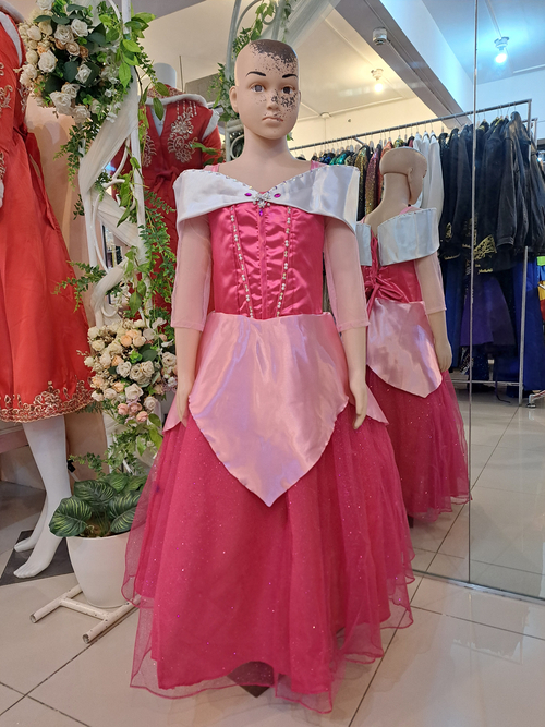 Disney Princess Aurora Costume 
