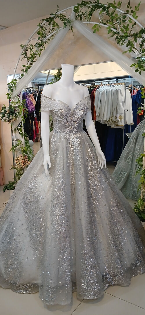 Silver with Sparkling Embellishments Floral Embroidery Ball Gown