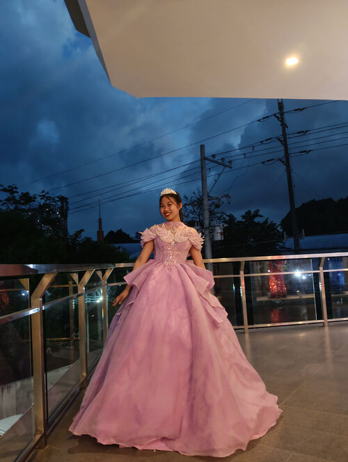 Lavender Swan Turtle Neck Ball Gown
