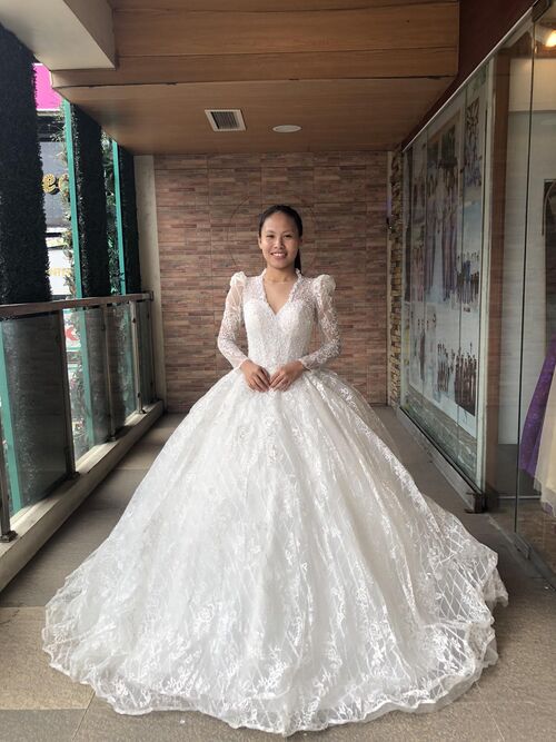 Elegant Luxurious V-Neck Longsleeve Wedding Gown 