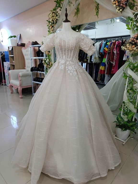 Off-White Embroidered With Pearl Details Ball Gown / Wedding Gown