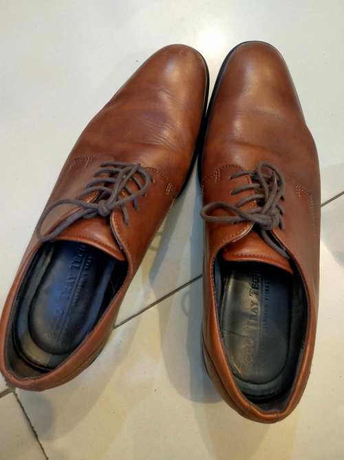 ecco Tray Tech Brown Leather Shoes