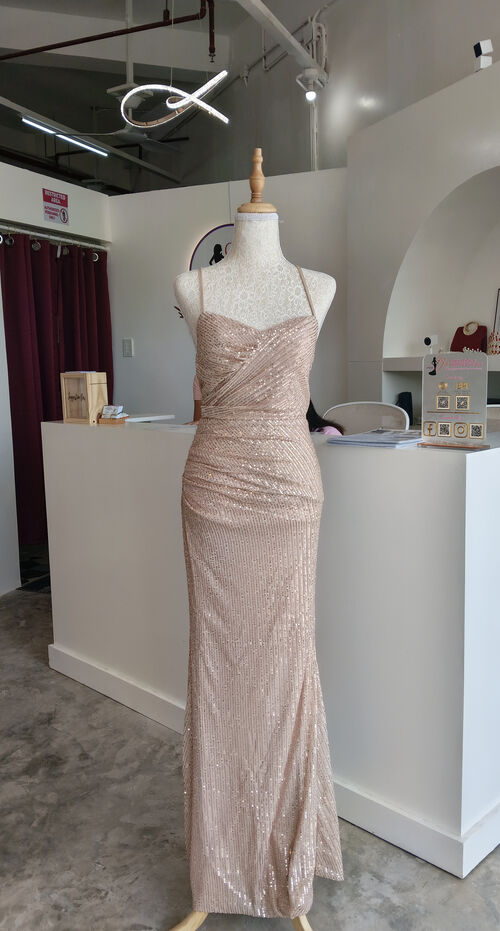 Champagne Full Sequins Sleeveless Long Gown