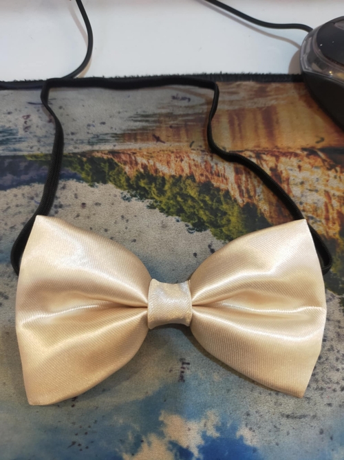 Champagne Satin Bowtie (FOR RENT)