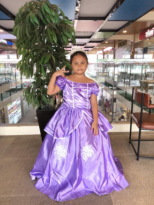 Sofia the First Inspired Costume for Kids