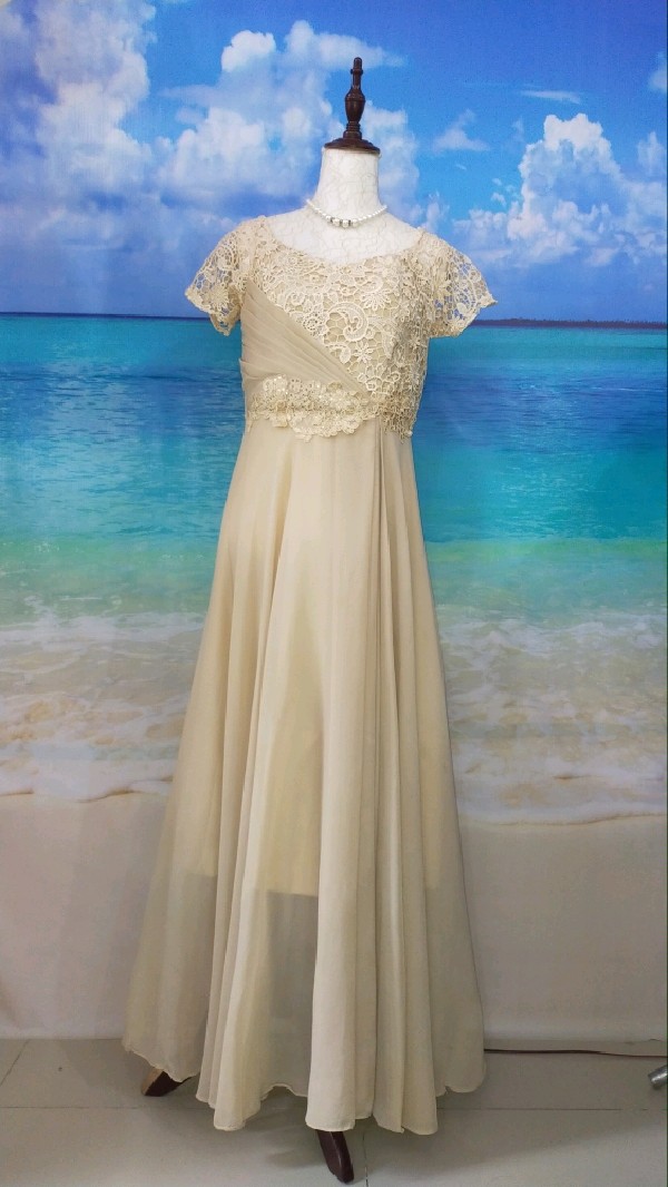 Dark Nude Stretch Sleeves Mother Gown