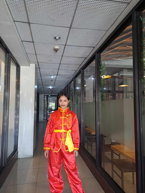 Red Chinese Kungfu Martian Arts Uniform UNO Costume For Boys