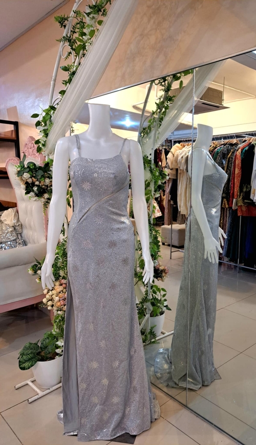 Silver Gray Sexy Sleeveless Long Gown